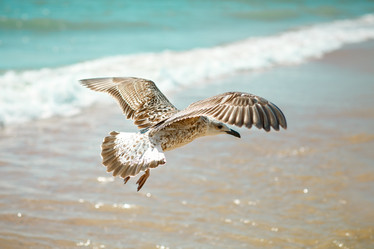 Similar image 13143009