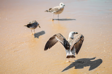 Similar image 13143011