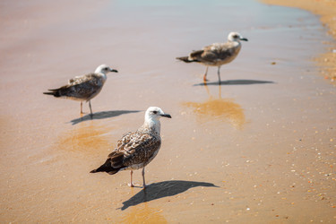 Similar image 13143012