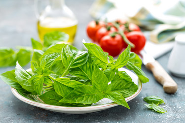 Similar image 13144764