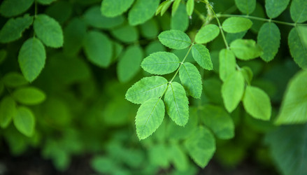 Similar image 13144736