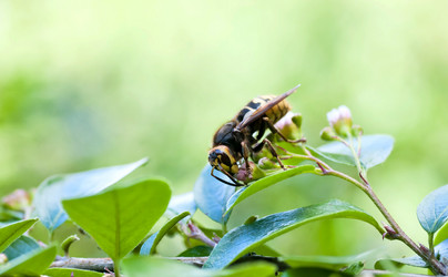 Similar image 13146795