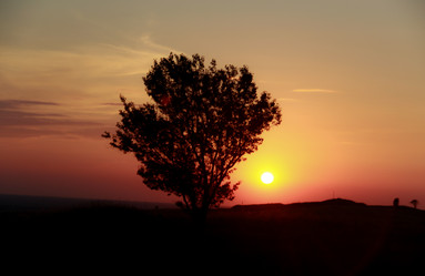 Similar image 13146813