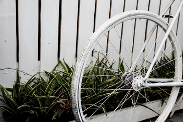 Similar image 13146815