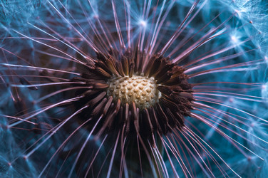 Similar image 13148023