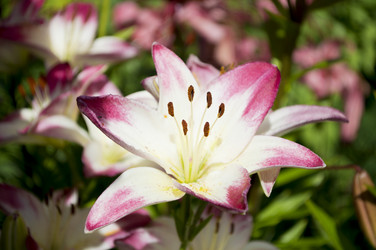 Similar image 13148599