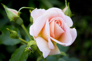 Similar image 13148601