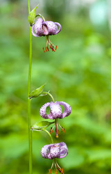 Similar image 13147960