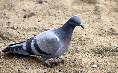 Similar image 13147999