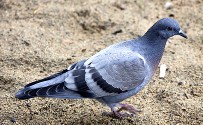 Similar image 13148000