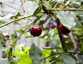 Similar image 13148021