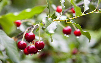 Similar image 13148026