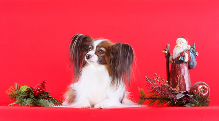 Similar image 13147057