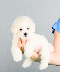 Similar image 13147059