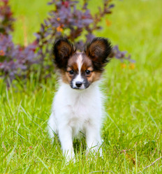 Similar image 13147061