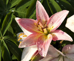 Similar image 13148031