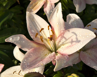 Similar image 13148032