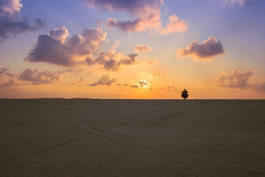 Similar image 13173187