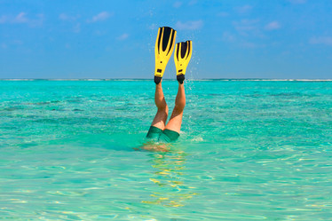 Similar image 13173189