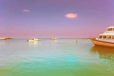 Similar image 13171435