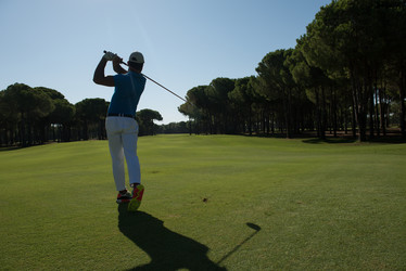 Similar image 13186301