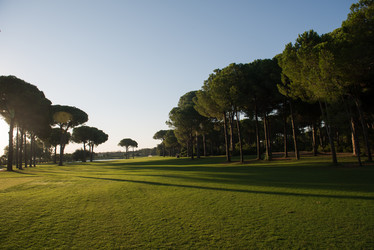 Similar image 13176670