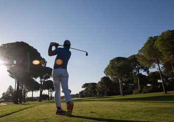 Similar image 13175226