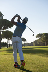 Similar image 13175326