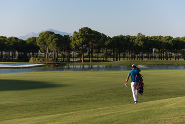 Similar image 13176209