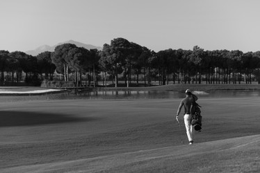 Similar image 13176239