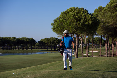 Similar image 13176518