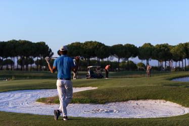 Similar image 13176745