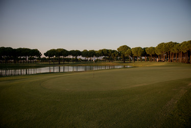 Similar image 13186400