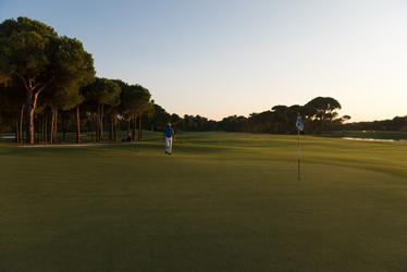 Similar image 13187053