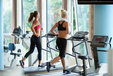 Similar image 13176562