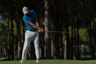 Similar image 13175827