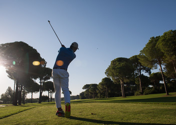 Similar image 13186945