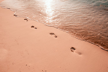 Similar image 13173192