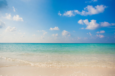 Similar image 13171441