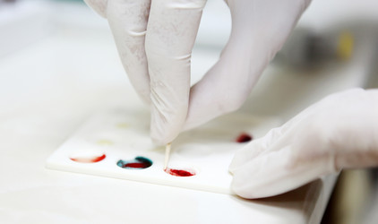 Similar image 13170600