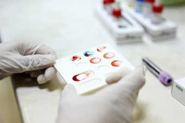 Similar image 13170819