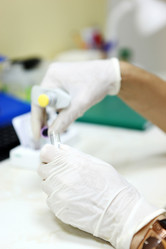 Similar image 13170823