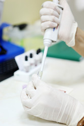 Similar image 13170824