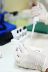 Similar image 13170825