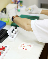 Similar image 13170862