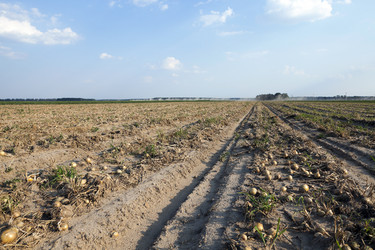 Similar image 13153826