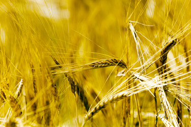 Similar image 13170260