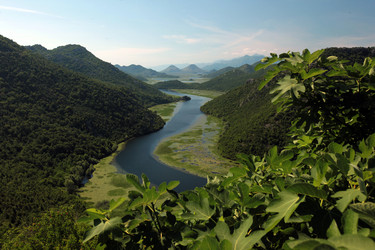 Similar image 13178073