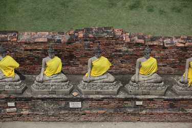 Similar image 13155496