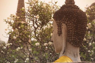 Similar image 13155519